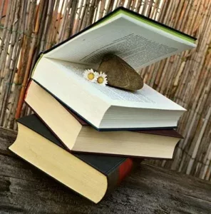 Karine Lamboglia Une vie des mots Recherche biographe Contact