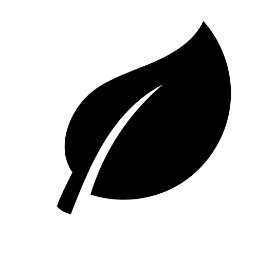 Feuille seule, en noir et blanc, symbolisant la vie